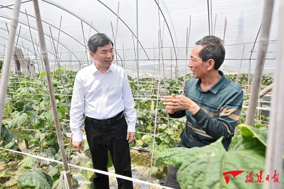 平和县山格镇隆庆村蔡家堡,青砖黛瓦,古巷石道,宁静的村庄安逸祥和.