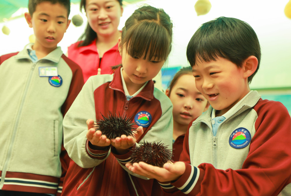 山东荣成:学习海洋生物多样性知识