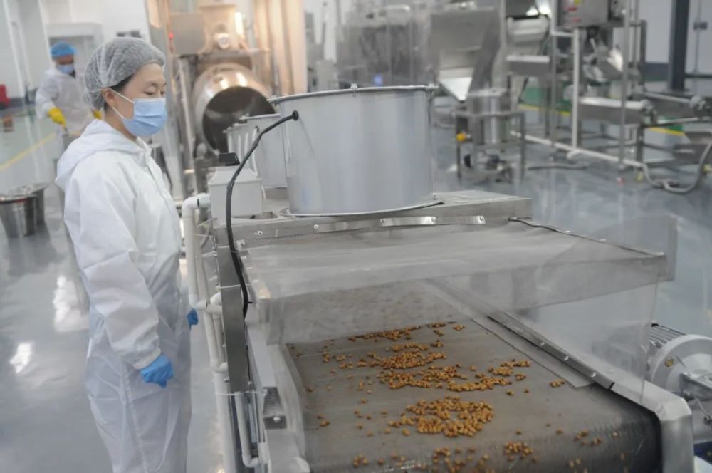 山东淄川:宠物食品生产忙_腾讯新闻