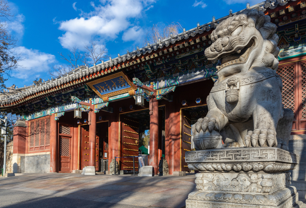 北大,作为中国最高的教育学府之一,是无数学子心中的知识圣殿,但却