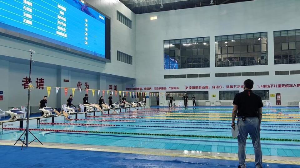 全民健身,奋"泳"争先!2024年全国游泳城市系列赛(枣庄站)开赛