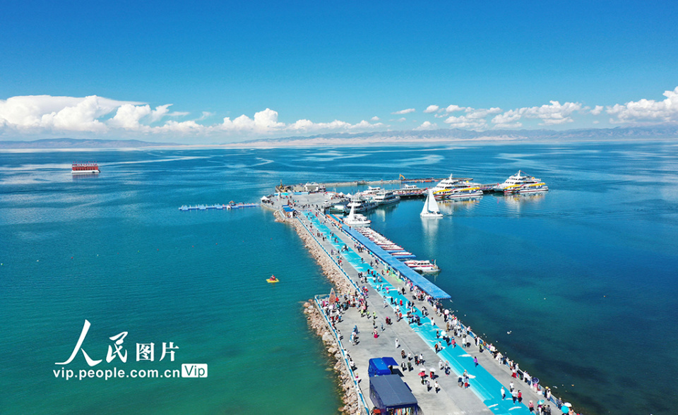 青海:青海湖美景醉游人