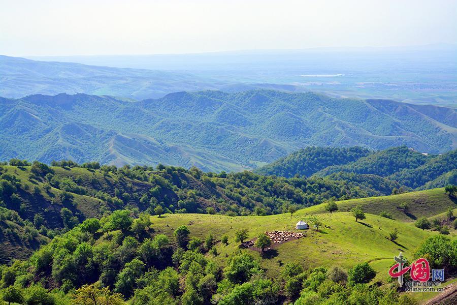 追着花儿看新疆伊犁霍城中华福寿山初夏风光
