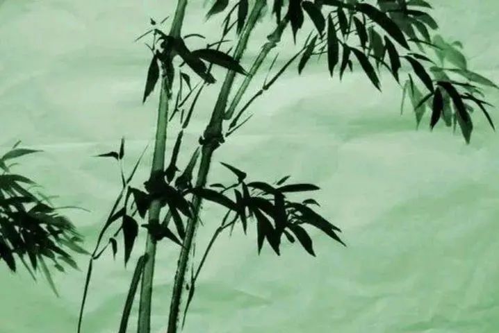 杜甫的竹子诗，托物言志，委婉含蓄 第 3 张