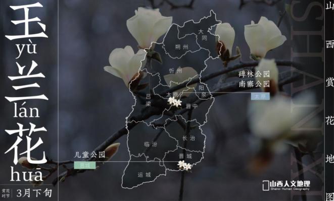 山西赏花花花花花花地图