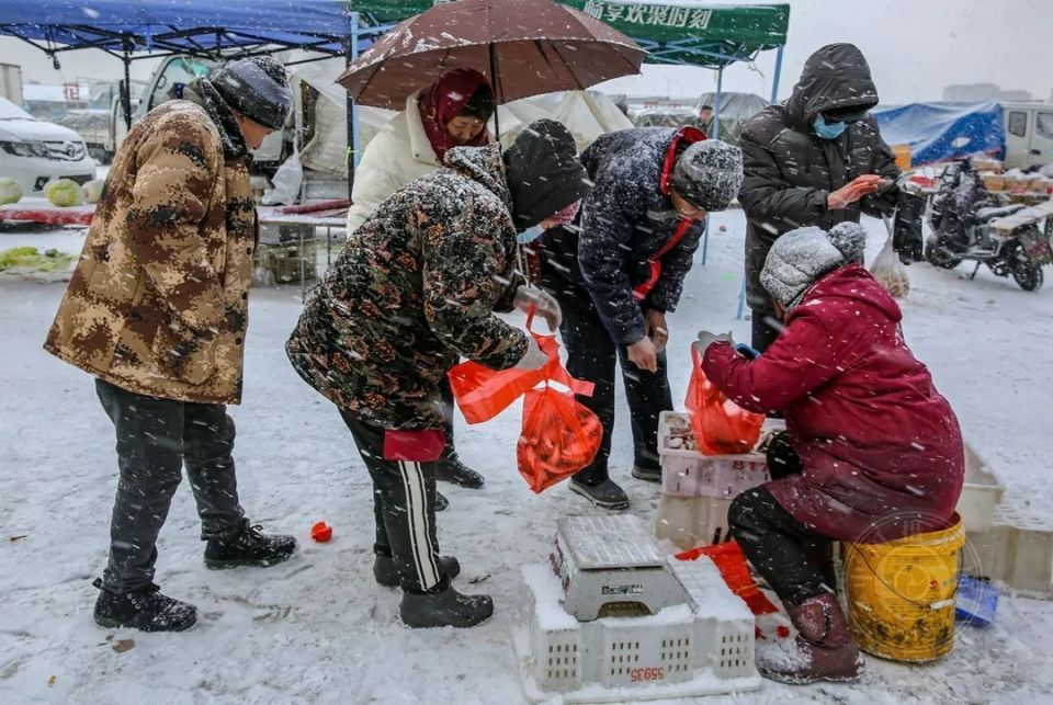 《瑞雪兆丰年》(组照)08李春升(山东青岛)2024年1月22日拍摄于