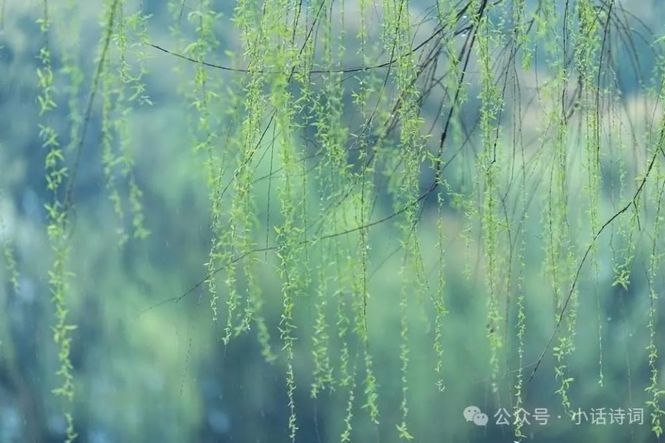 同为送别诗巅峰,《送元二使安西》和《别董大》,各自亮点在哪里?