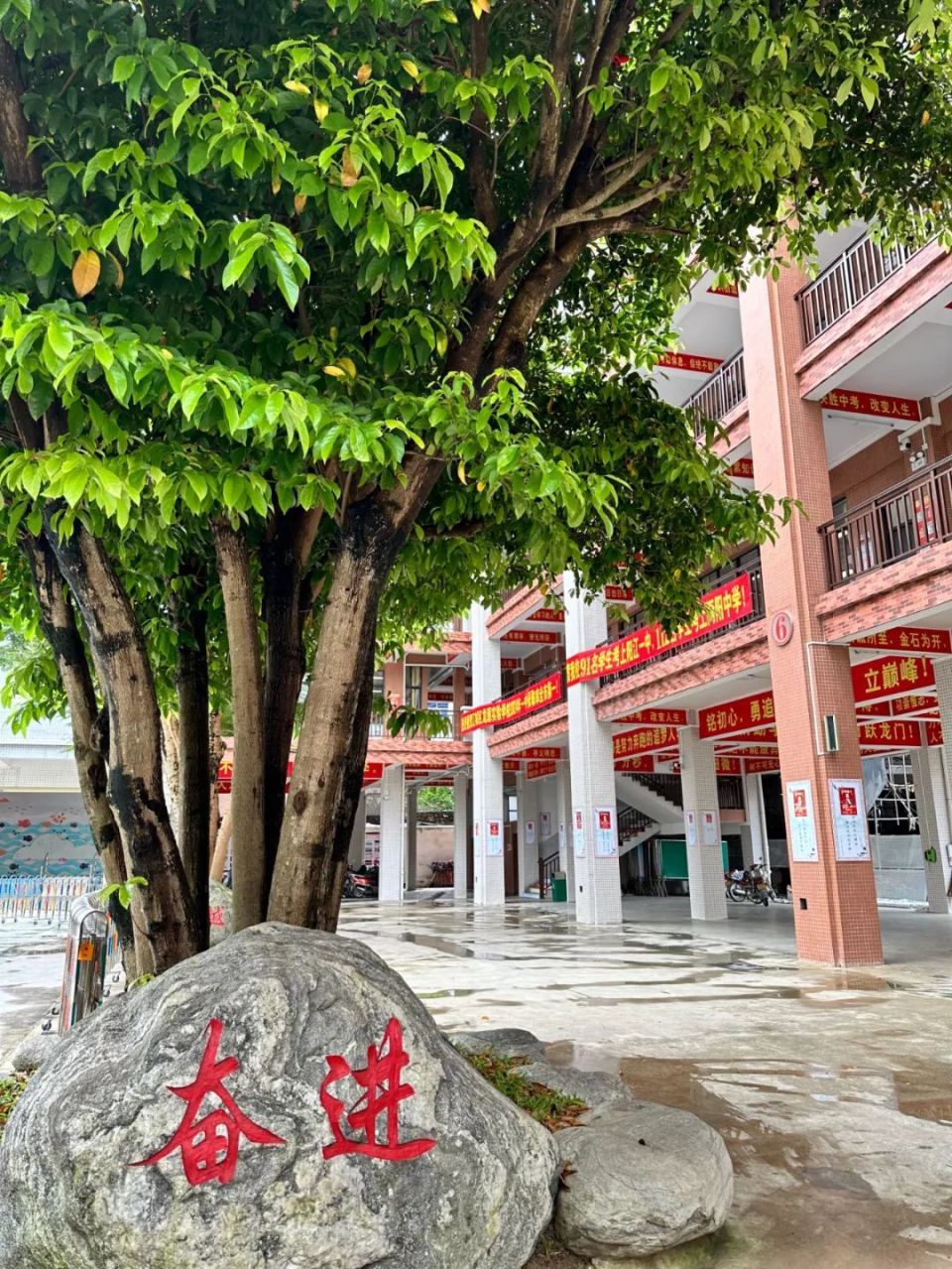 中考上线率98%!阳江这所学校超多人在问