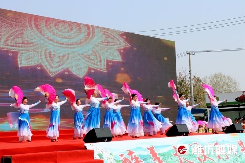 到潍坊安丘,赴一场梨花盛会_腾讯新闻