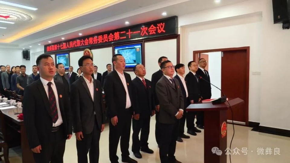 彝良县最新任命1名副县长_腾讯新闻