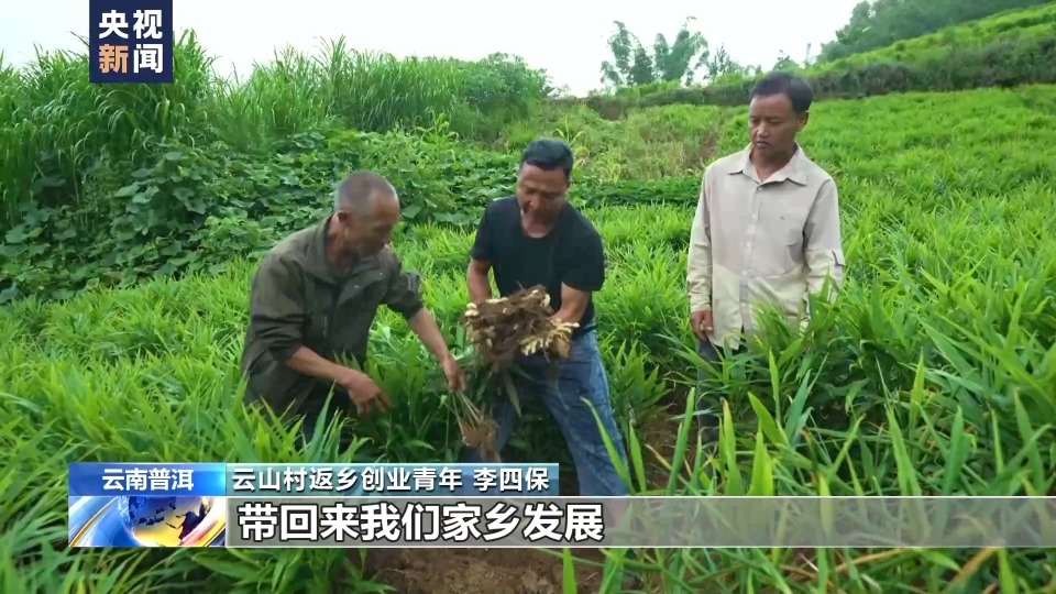 [南方生姜网-图片加载]