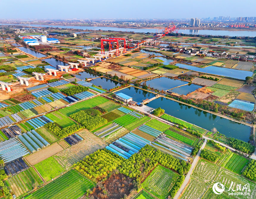 南昌市东湖区扬子洲镇三联村,田野绿意盎然,生机勃勃.人民网 朱海鹏摄