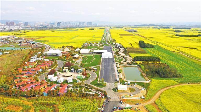 伟光星河花海营地路段.