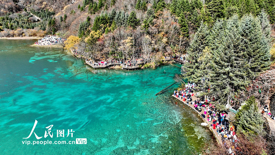 四川阿坝州九寨沟彩林如画迎客来