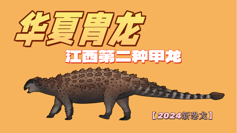 时隔近40年，这种甲龙终于被命名啦！_腾讯新闻