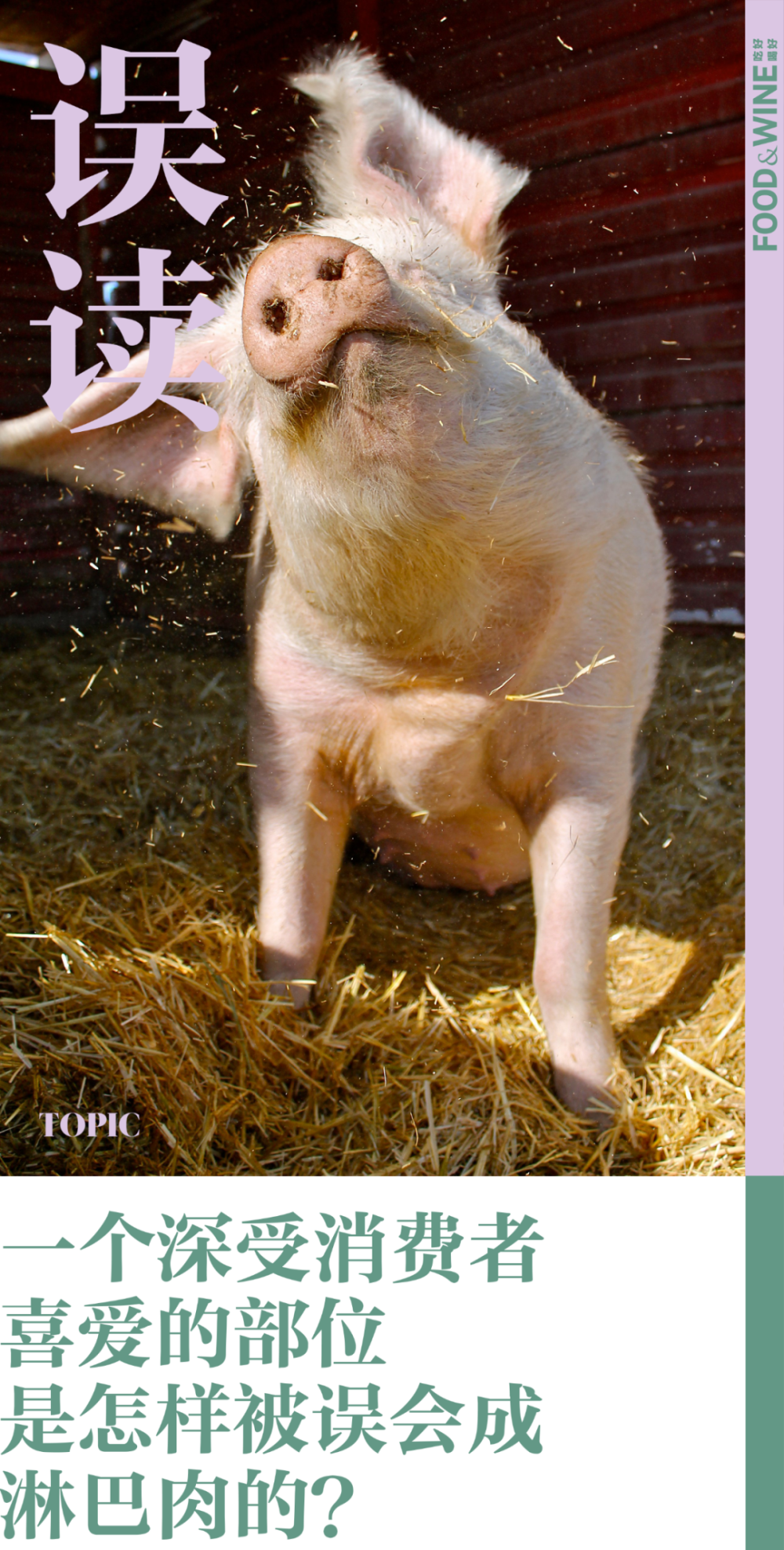 槽头肉 ≠ 淋巴肉,能吃,好吃_腾讯新闻