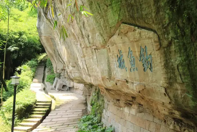 ͼƬ