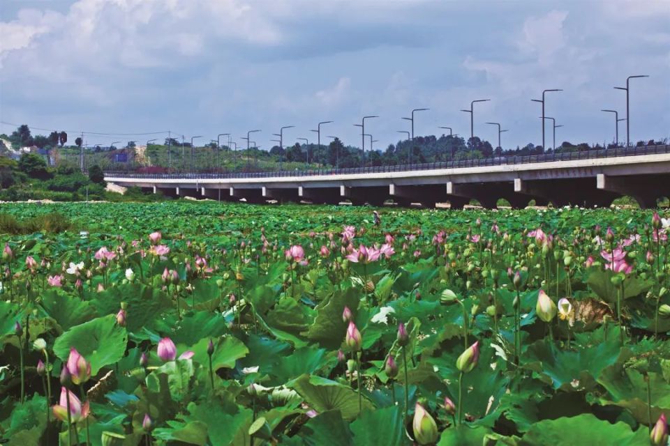 星月湖毗邻月亮湖,整个公园细细长长,沿用贵阳"一半山水一半城"的格局