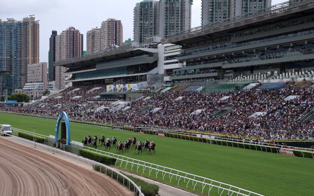 香港赛马会最新消息图片