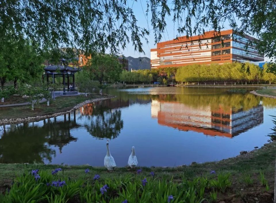 四季轮转,北化校园美得太像画!