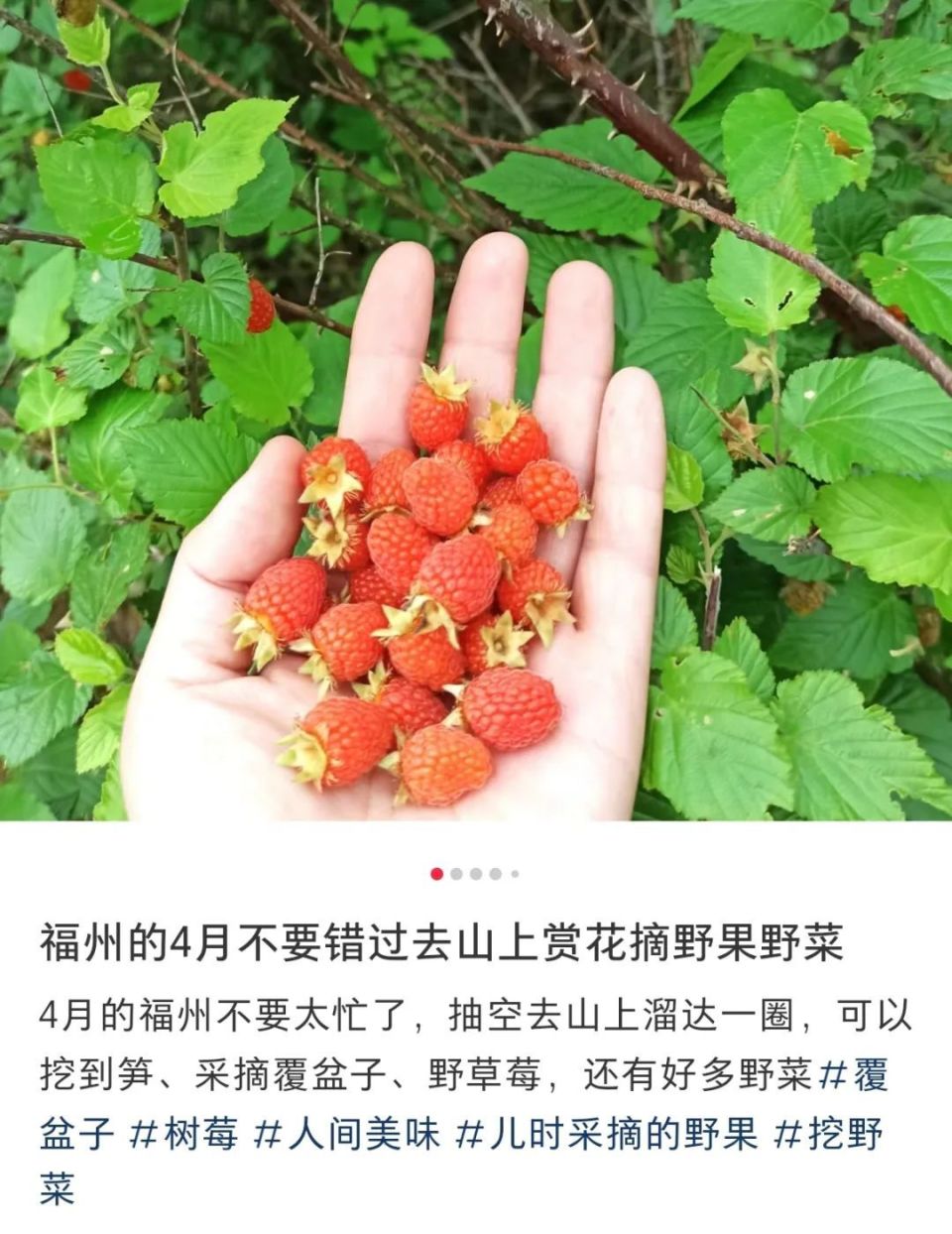 福州正大量出现!朴朴,永辉上新!很多人出手