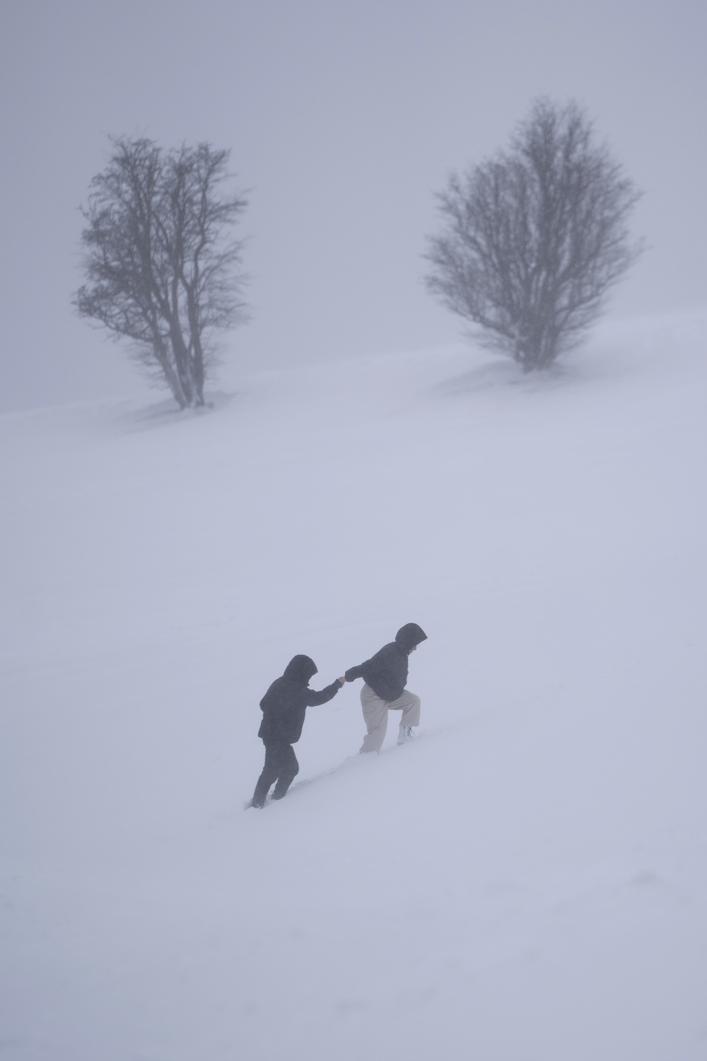 加拿大东部遭遇暴风雪天气_腾讯新闻