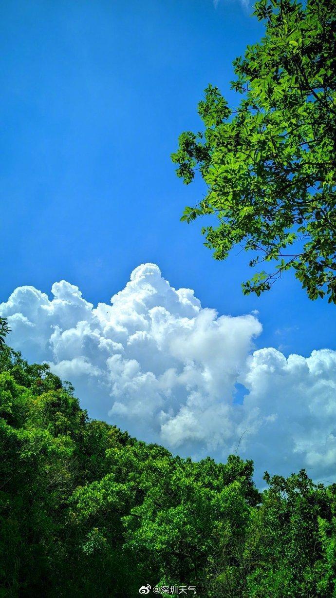 龙舟水"冲业绩",深圳下周又是雨