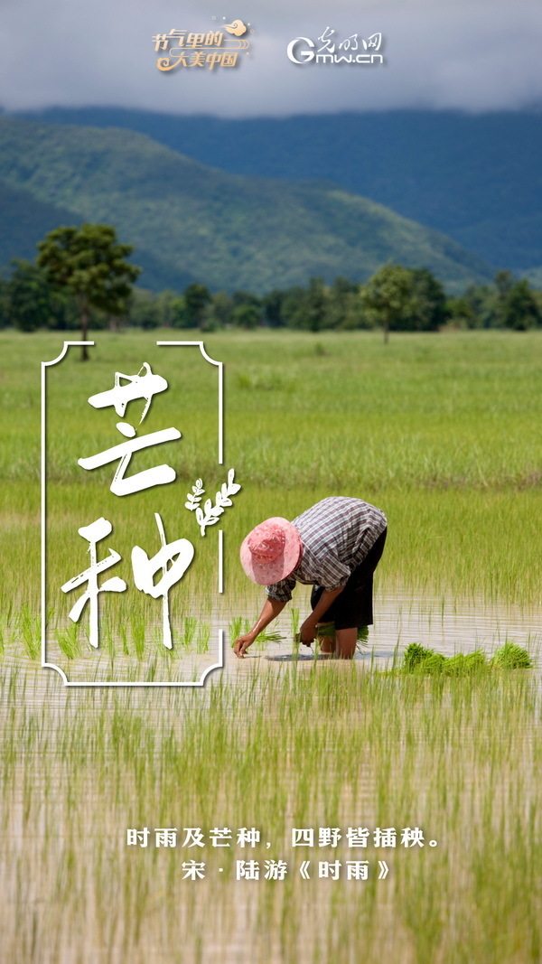 【节气里的大美中国】节气plog丨芒种:一起迎接最后的冲刺,加油!