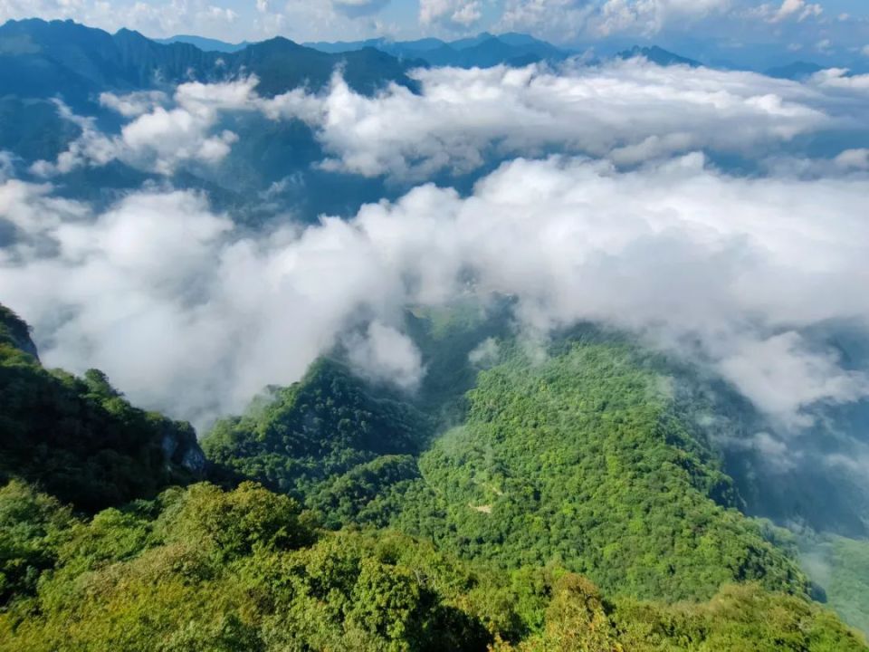 假期最后一天,快来云端仙境看场云海吧!