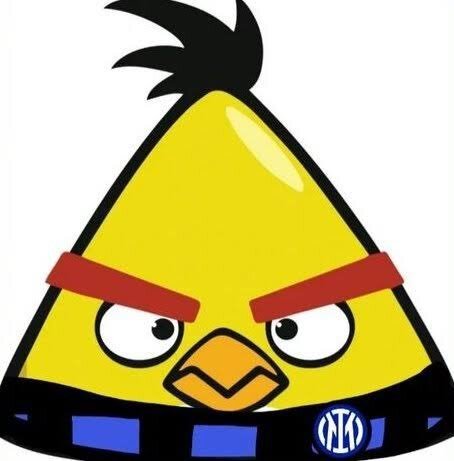 今日趣图论吸引老梅头注意力还得看我皇马名宿马特奥