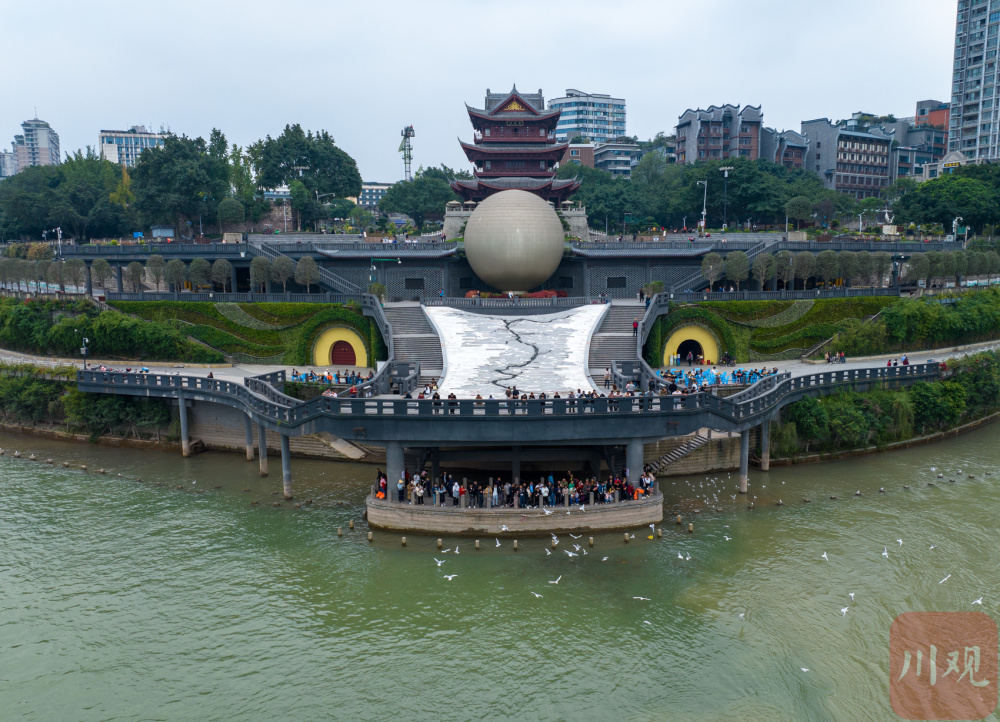 快来宜宾三江口欣赏长江鱼和红嘴鸥齐飞