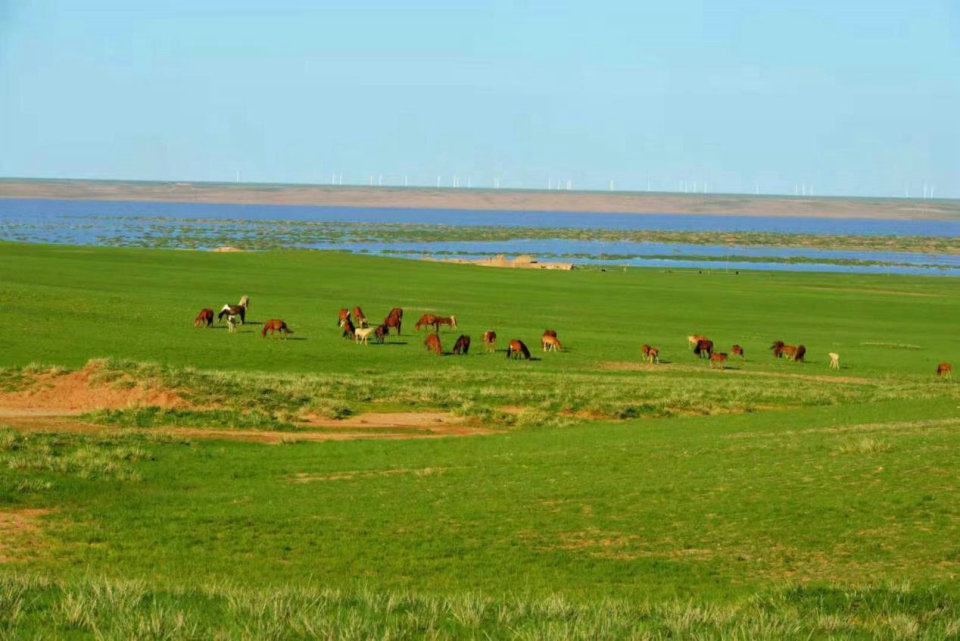 双赛同办,逐梦草原| 中国公路自行车公开赛首进北疆达茂旗