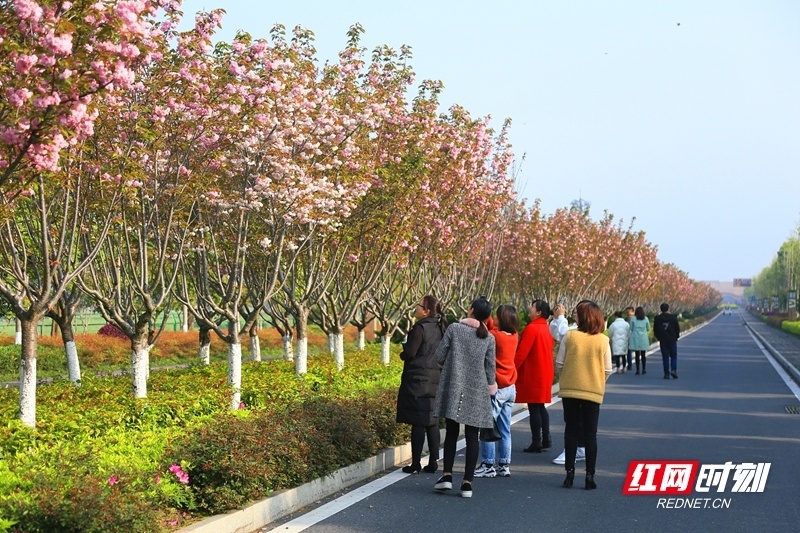 "瞰"见城头山·泼墨篇|向"新"借力  精心打造农耕文化名片