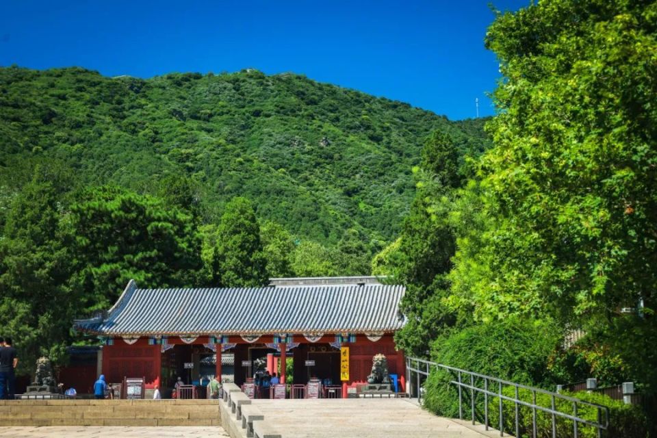 乐不思"暑",这份来自香山的暑期游览方案请您查收!