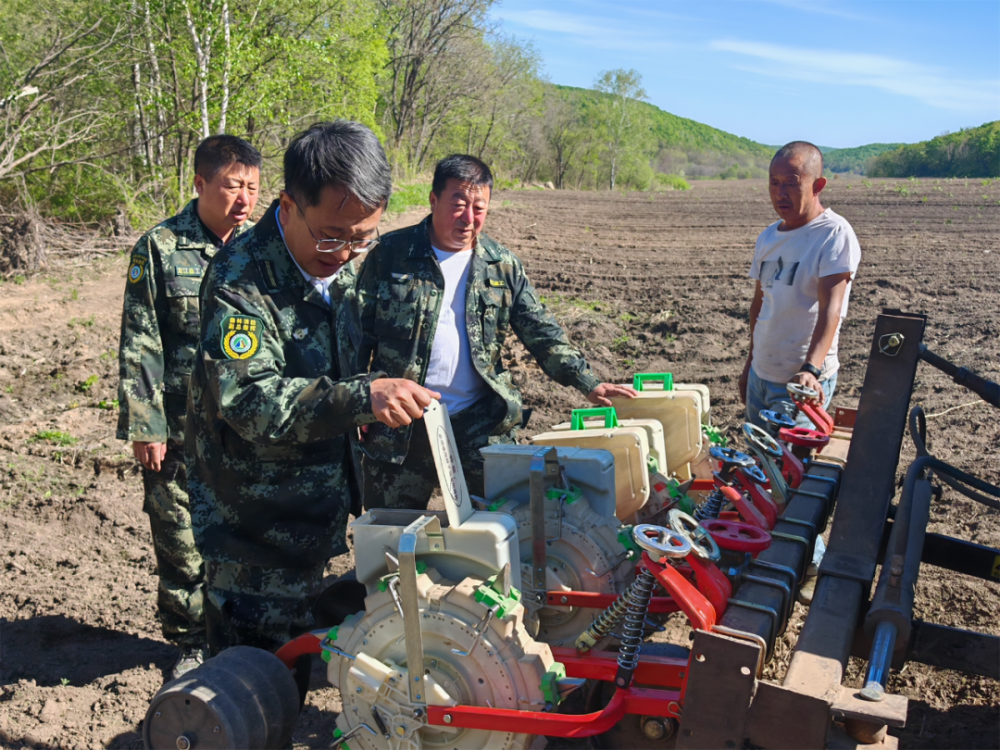【产业富企】八面通:鲜食玉米产业助力林区产业振兴