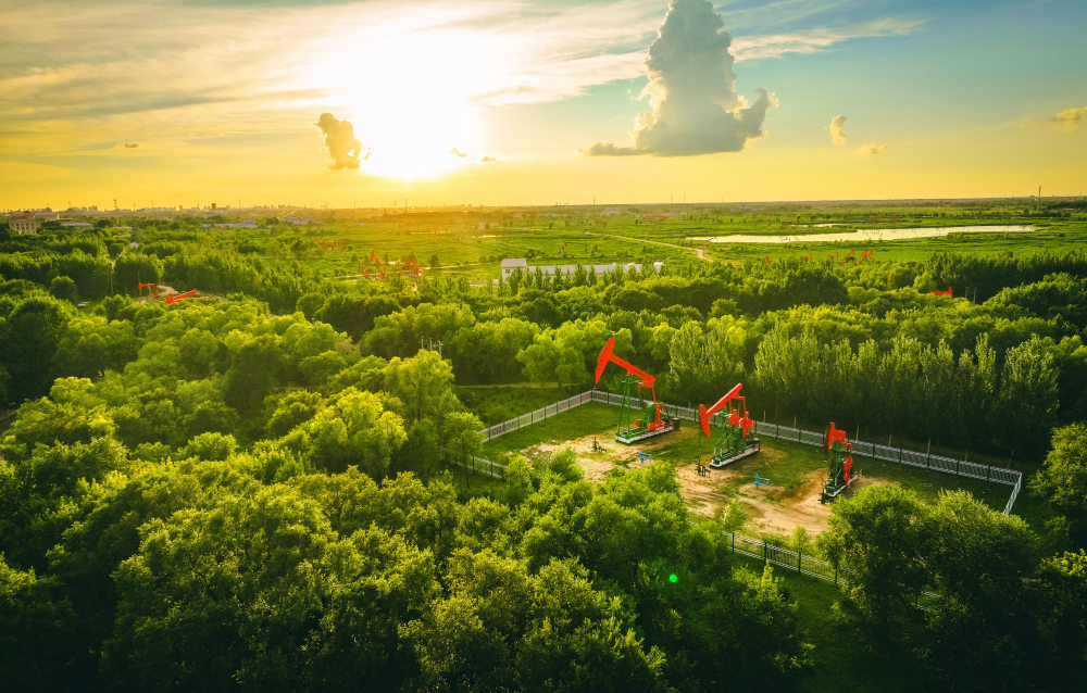 大庆油田追青逐绿向美而行