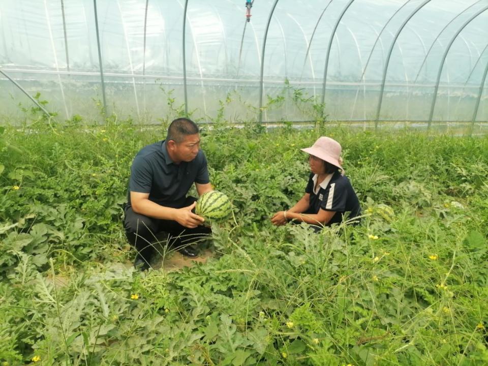 杞县西寨乡黄土岗村:发展果蔬产业助推乡村振兴