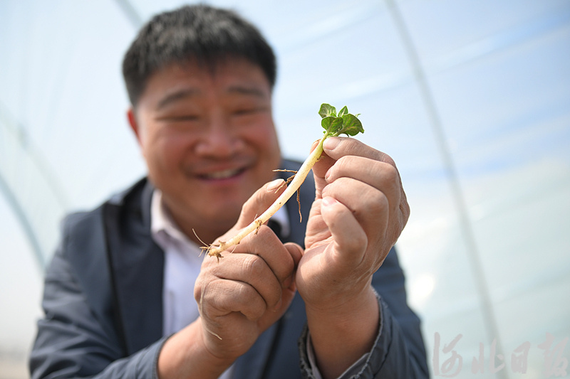 焦点图土豆哥的新农经