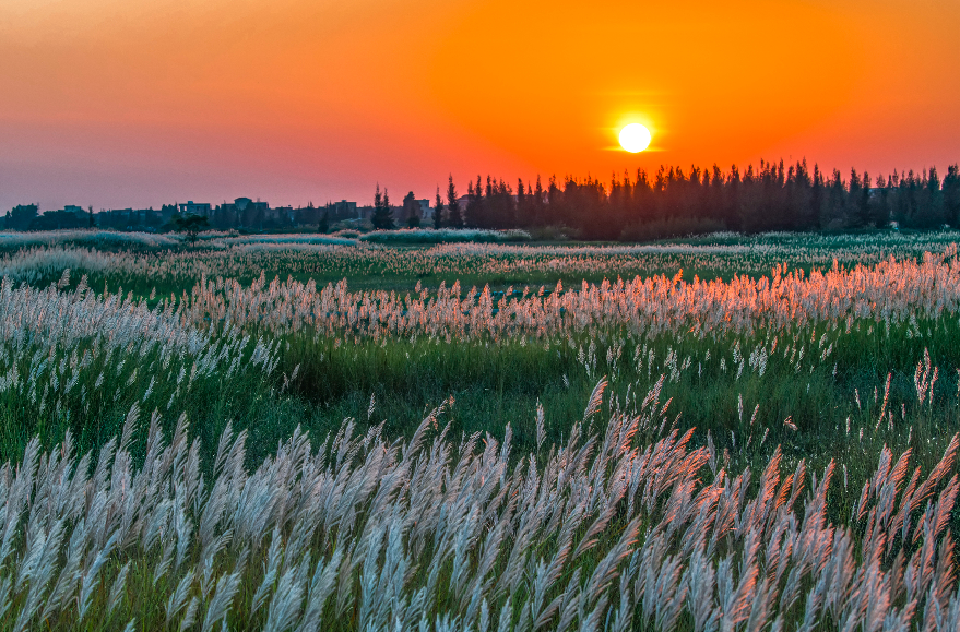 金秋之约丨打开初秋的湛江,这些醉美风光即将全网刷屏!