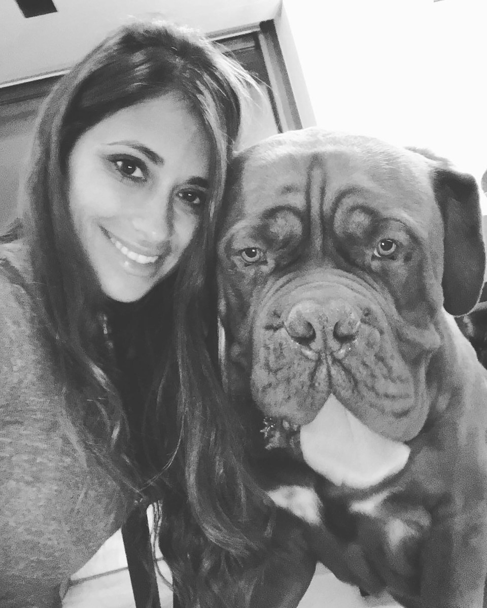 爱犬浩克现在在哪?梅西:它老了,我们把它留在了巴塞罗那_腾讯新闻