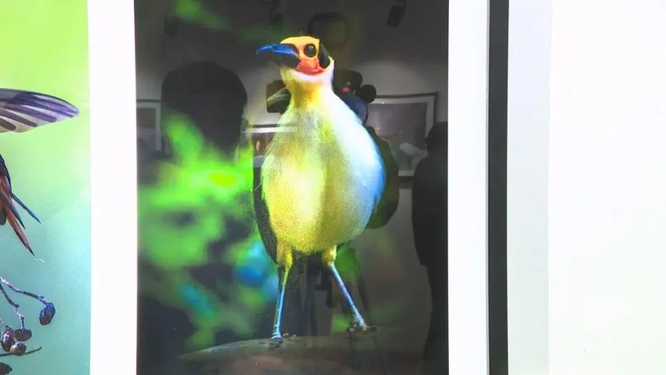 顶尖摄影高手云集,探秘珍稀鸟类魅力瞬间_腾讯新闻