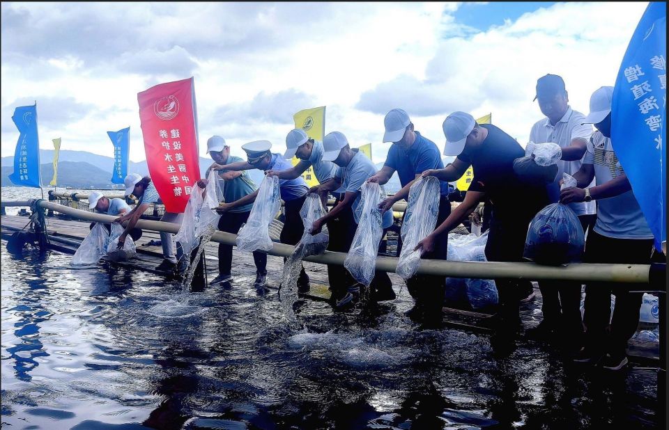 权威解读《深圳市海洋发展规划（2023-2035年）》：滨海深圳 御风扬帆_腾讯新闻