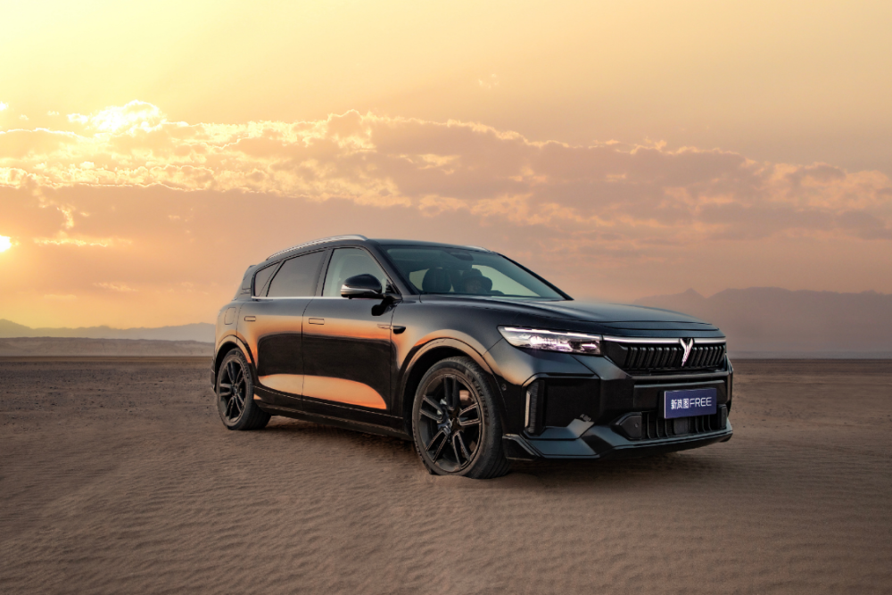 用户型科技企业岚图汽车为用户创造更美好的出行体验