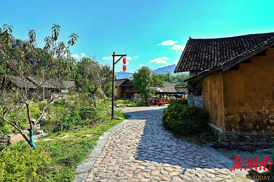 苗儿滩镇:土家风情惹人醉 绘就文旅新景象