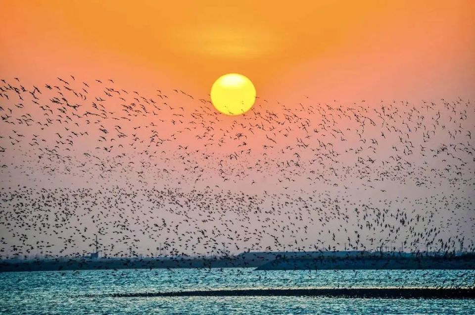 辽宁多地天空出现奇观_腾讯新闻