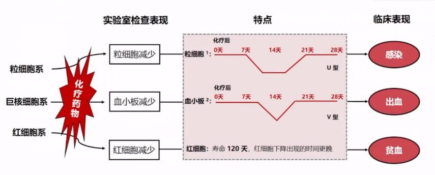 化疗导致骨髓抑制?一文理清防治思路!_腾讯新闻
