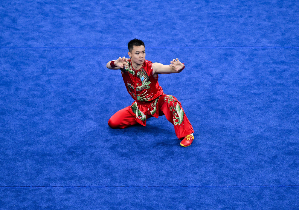 (成都大运会)武术——男子南拳:中国选手曹茂园夺冠(3)