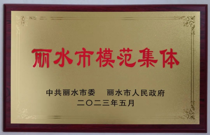 这个榜样团体不一般！青田县税务局荣获丽水市榜样团体称谓