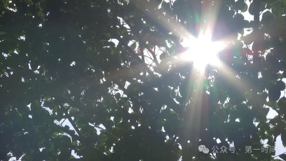 高考天气还不错