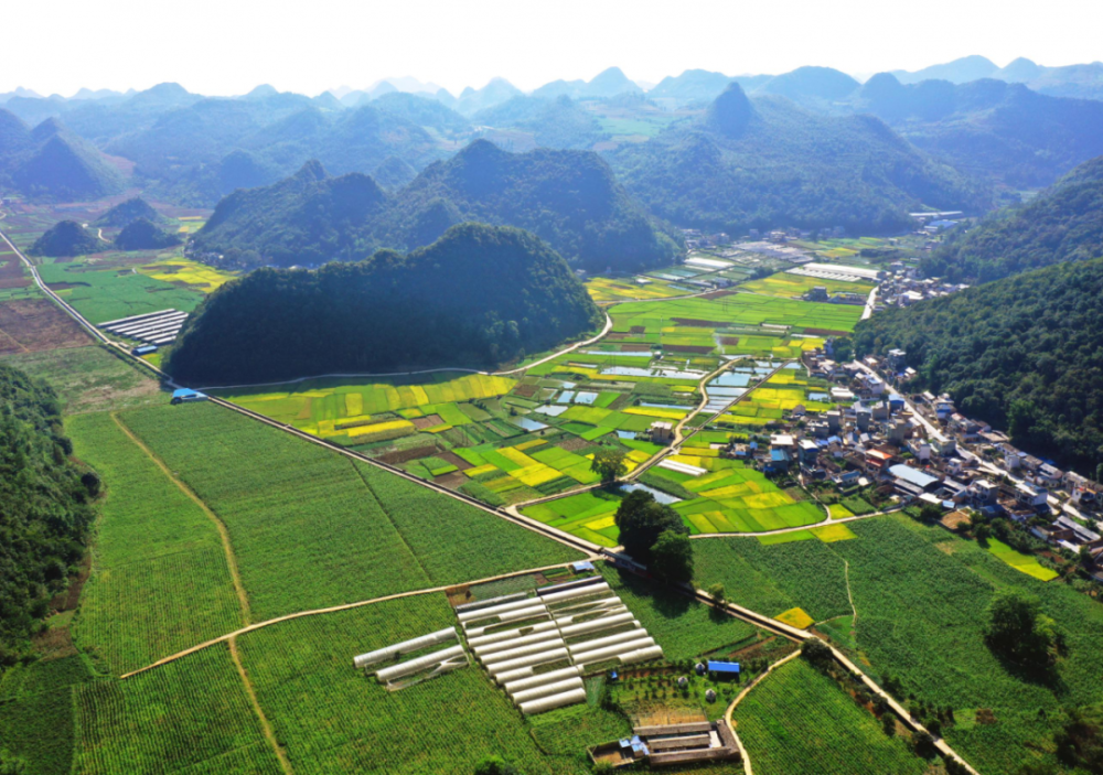 地处滇东南的西畴县,曾是全省乃至全国石漠化程度最严重的地区之一,全
